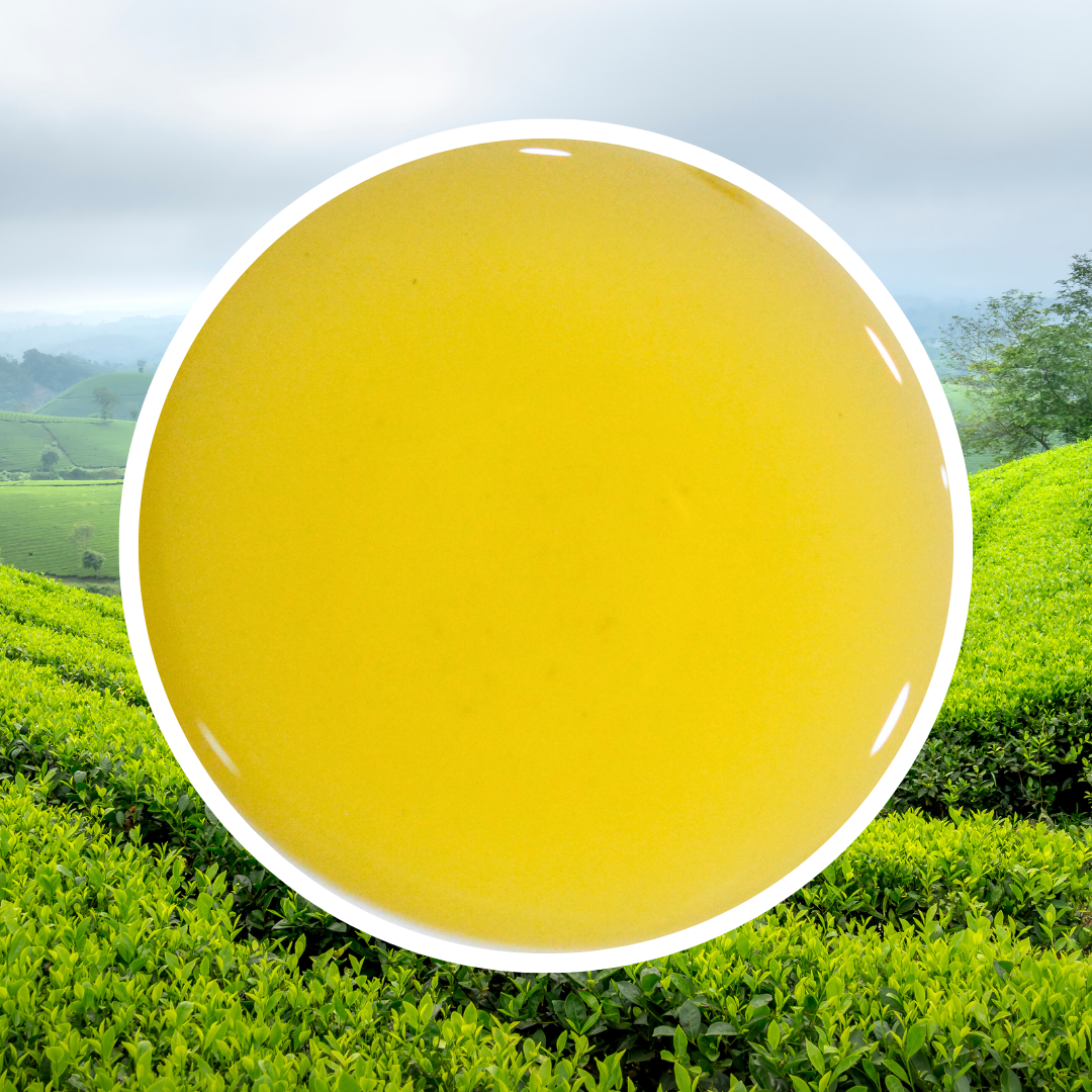 Lục Trà Lài  Cổ Điển BNB - 1 KG